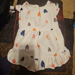 Pet Dress