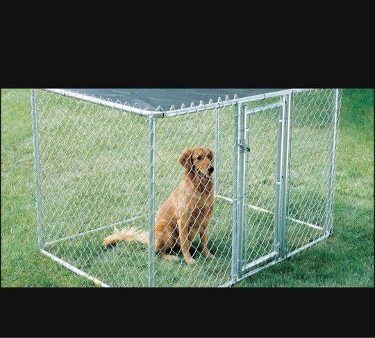 Chainlink Dog Kennel