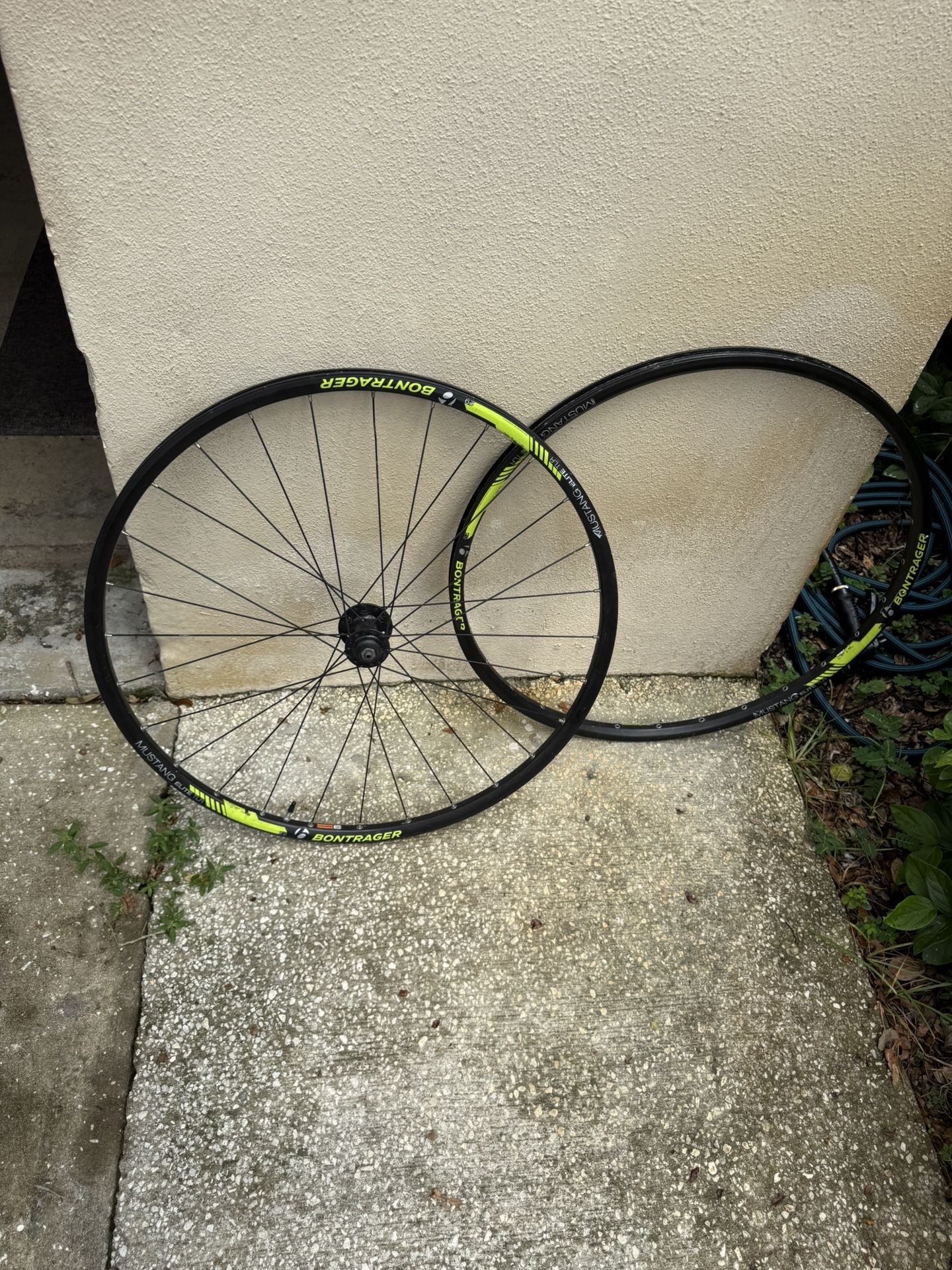 Bontrager Mustang Elite TLR Rims 29”