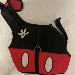 Halloween Dog Costume 