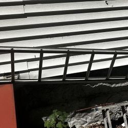 “FREE Ladders”