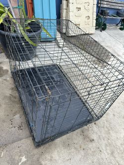 Dog Cage 