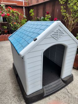 Dog house