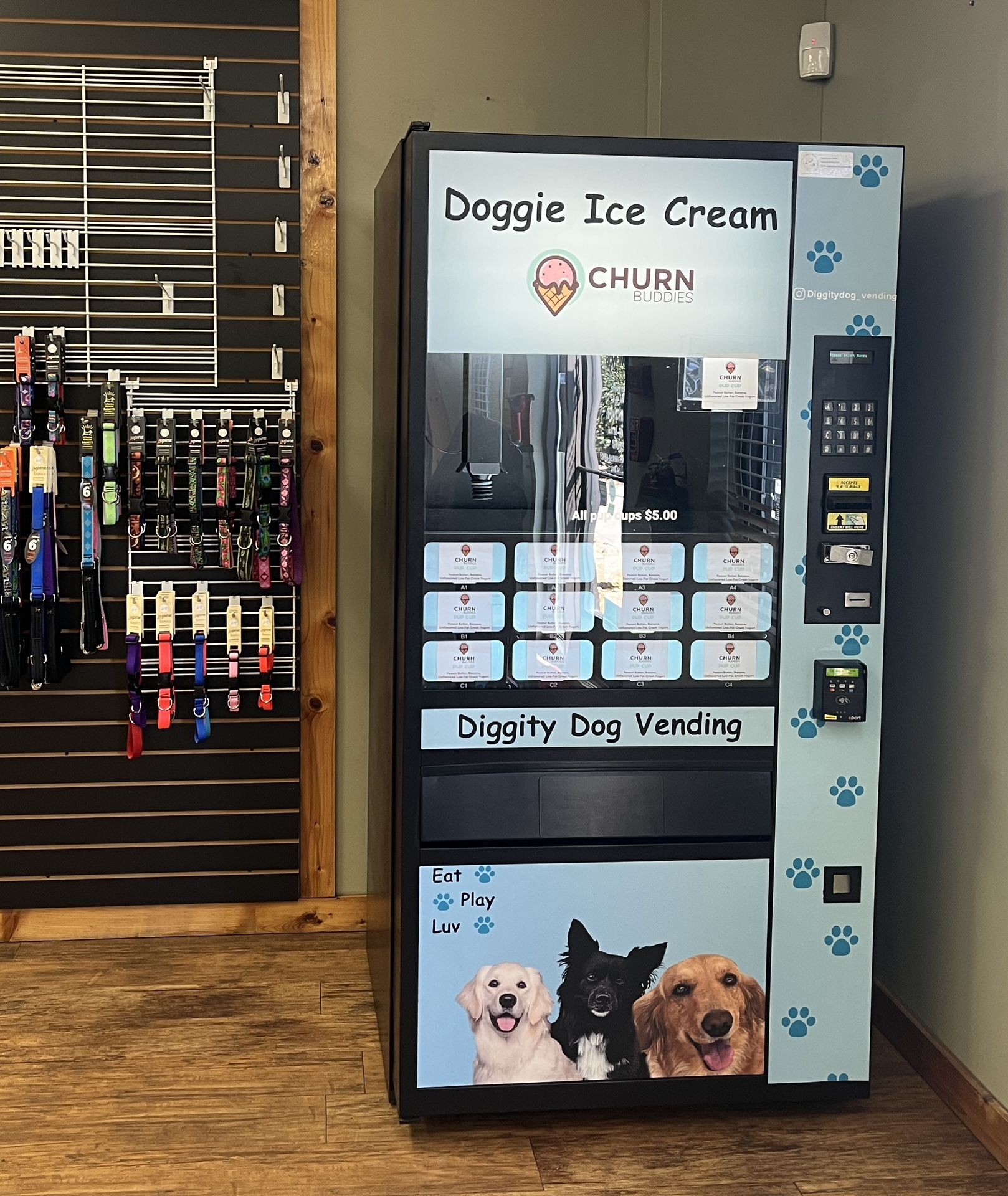 Doggie Ice Cream Vending Machine