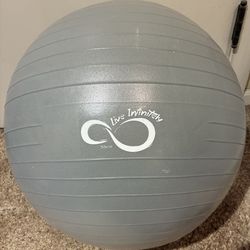 55cm Exercise Ball