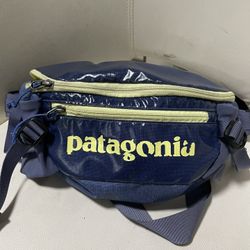 Patagonia Fanny Pack