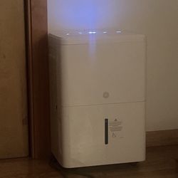 GE dehumidifier 