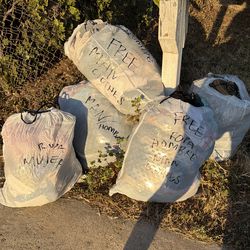 Ropa Gratis Mujer Hombre