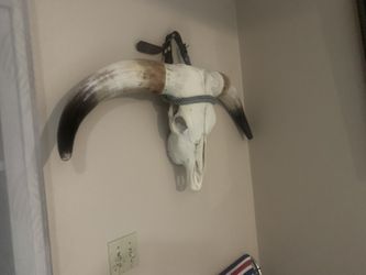 Bull Horns Head