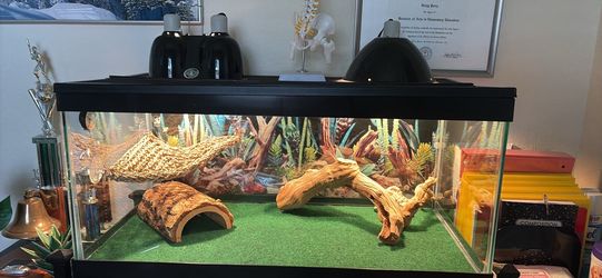 Aquarium tank
