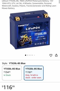 Lithium YTX20L-BS, 700A LiFePO4 Motorcycle Battery, 12V 10AH ATV, UTV, Jet Ski, 4 Wheeler, Snowmobile, Personal Watercraft, Seadoo, Polaris, Tractor,G