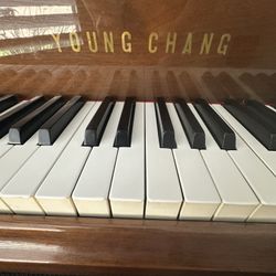 Baby Grand Piano By Young Chang