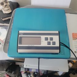 Smart Weigh Package Scale