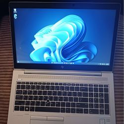 High Speed HP EliteBook 16" Pro Grade Laptop Intel Core i7-8665u 32 GB RAM 512 GB SSD 1080P LCD Webcam USB C Thunderbolt Port Windows 11 Professional 