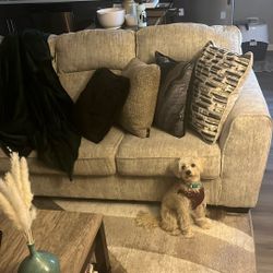 Sectional Couch For Sale 