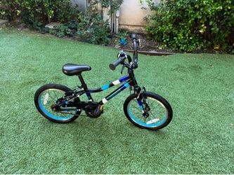 Guardian 16 Inch Bike