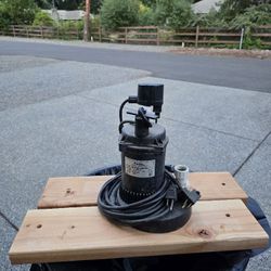 Flotec 1/3HP Submersible Sump Pump Model FP0S2450A-1