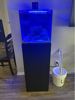 15 gallon hello reef saltwater tank and stand
