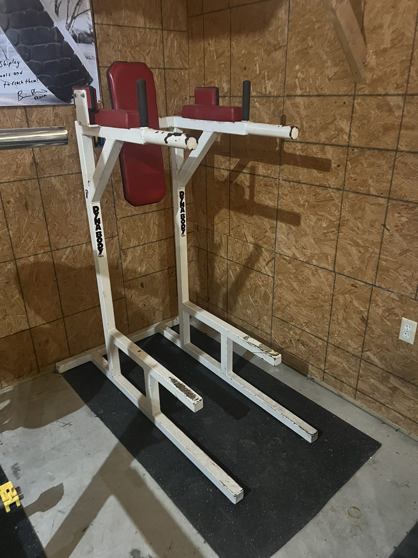 Dyna Body Dip Station