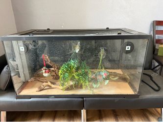 Bearded dragon terrarium/enclosure