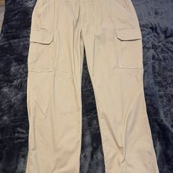 True Religion Pants