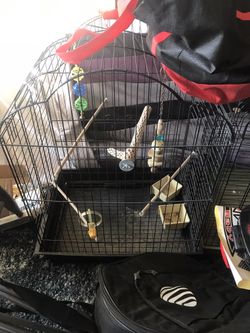 Large Bird Cage