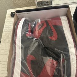 Jordan And Nike Dunks 