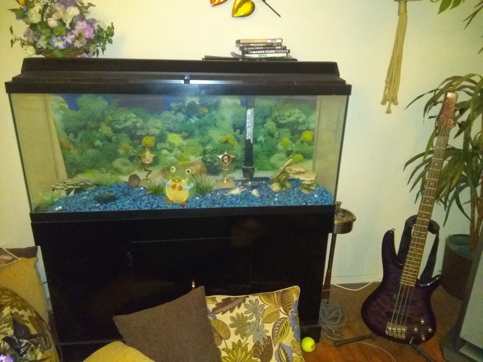 55 gallon fish tank accessories with it