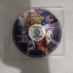 Homeward Bound 2 Disney Dvd