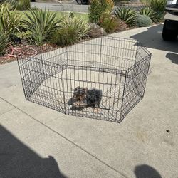 Dog Kennel 