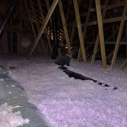 Insulation Remove &install Vapor Barrier New Construction