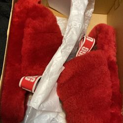 UGG Slippers 