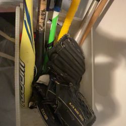 Assortment Of Gloves And Bats 