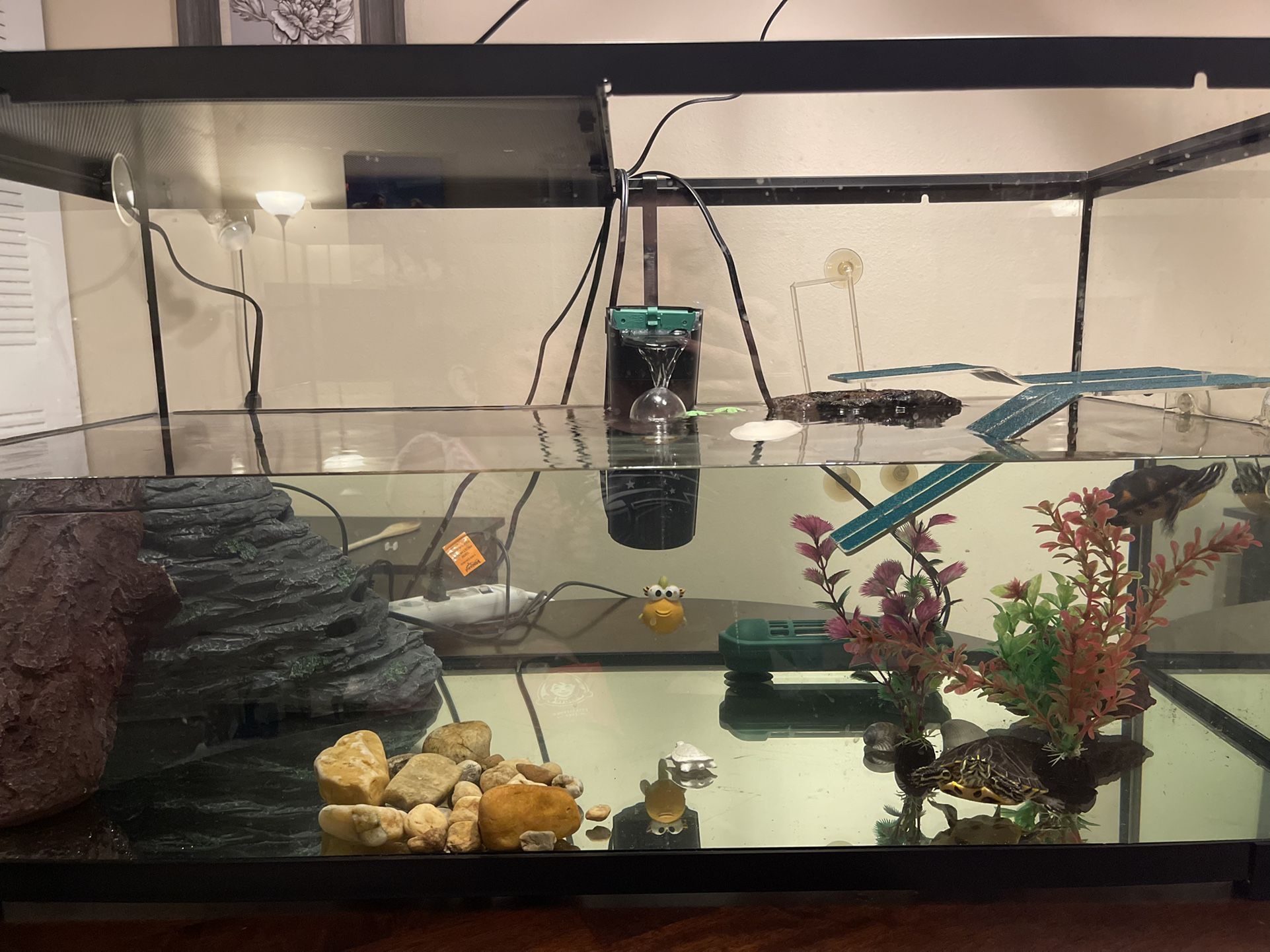 Thrive 40 Gallon Turtle Tank