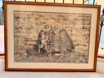 Simon Combes Cheetah wall art print