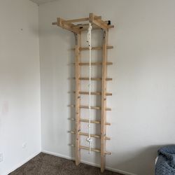 Swedish ladder wall bars gym