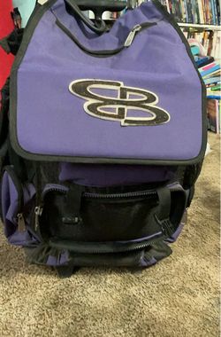 Purple rolling bat bag