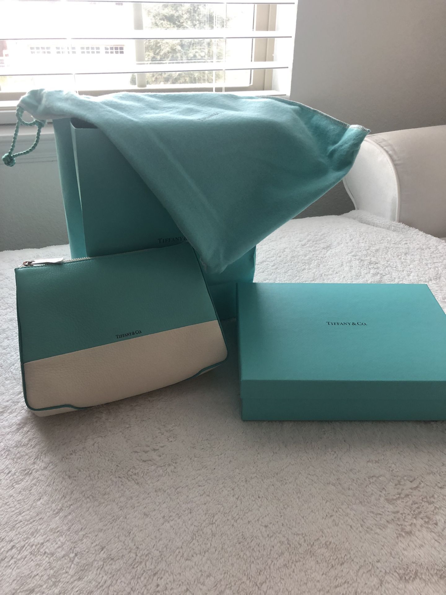 Tiffany and Co. color block cosmetic bag