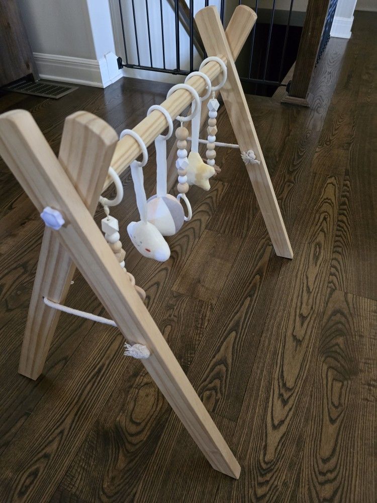 Comfy Cubs Baby Play Gym Set