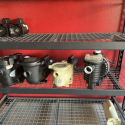 Refurbished Pool Pumps And Motors(Warranty