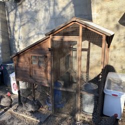 Chicken Coop
