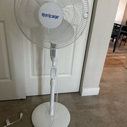 Hurricane Fan