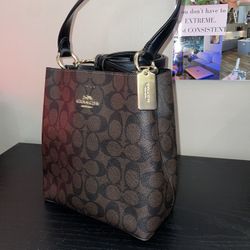 Women’s Coach Bag / Small Town Bucket