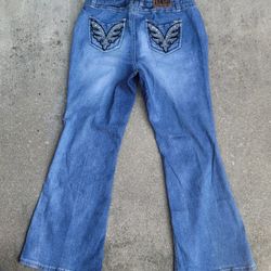 Zanadi Embellished Flare Jeans