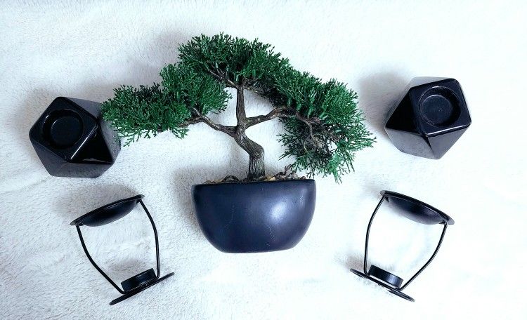 Plant And Candle Holders