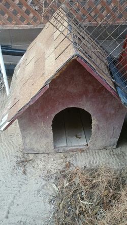 Small/Medium dog house