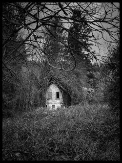 Almost Gone by Matt LaCross