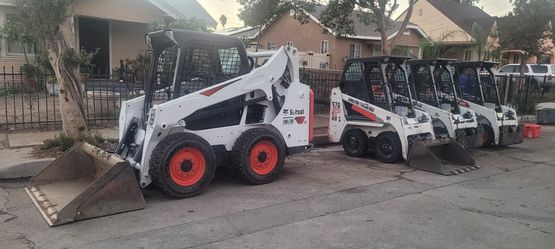 Bobcat Dem000