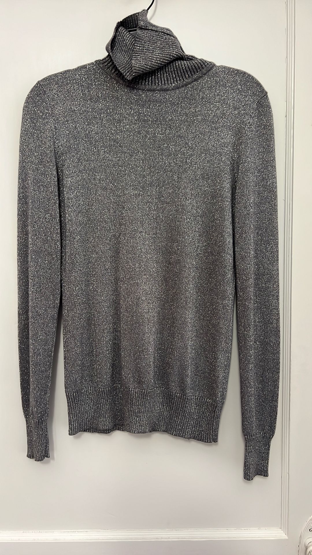 Silver Sparkle Material/ Not Glitter