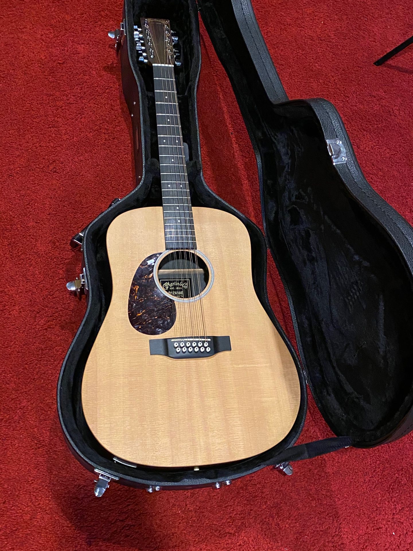 Martin Left-Handed 12-String Acoustic/Electric Guitar